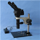 高对比度单筒视频显微镜