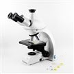 生物显微镜 DM500-TR-1000X