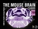 小鼠脑图谱 The Mouse Brain